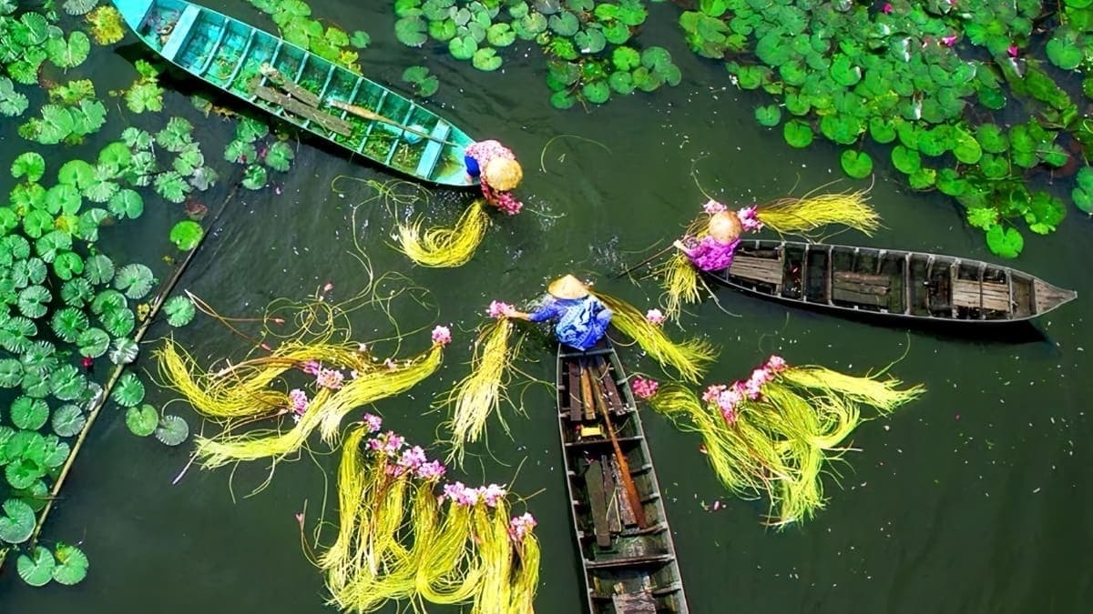 Thành phố Cần Thơ